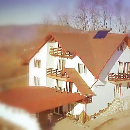 Apartamento La Curtea Argeseana Valea Iasului Exterior foto