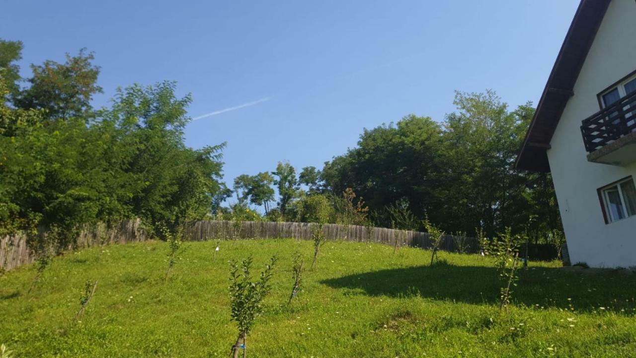 Apartamento La Curtea Argeseana Valea Iasului Exterior foto