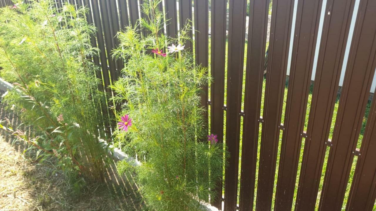 Apartamento La Curtea Argeseana Valea Iasului Exterior foto